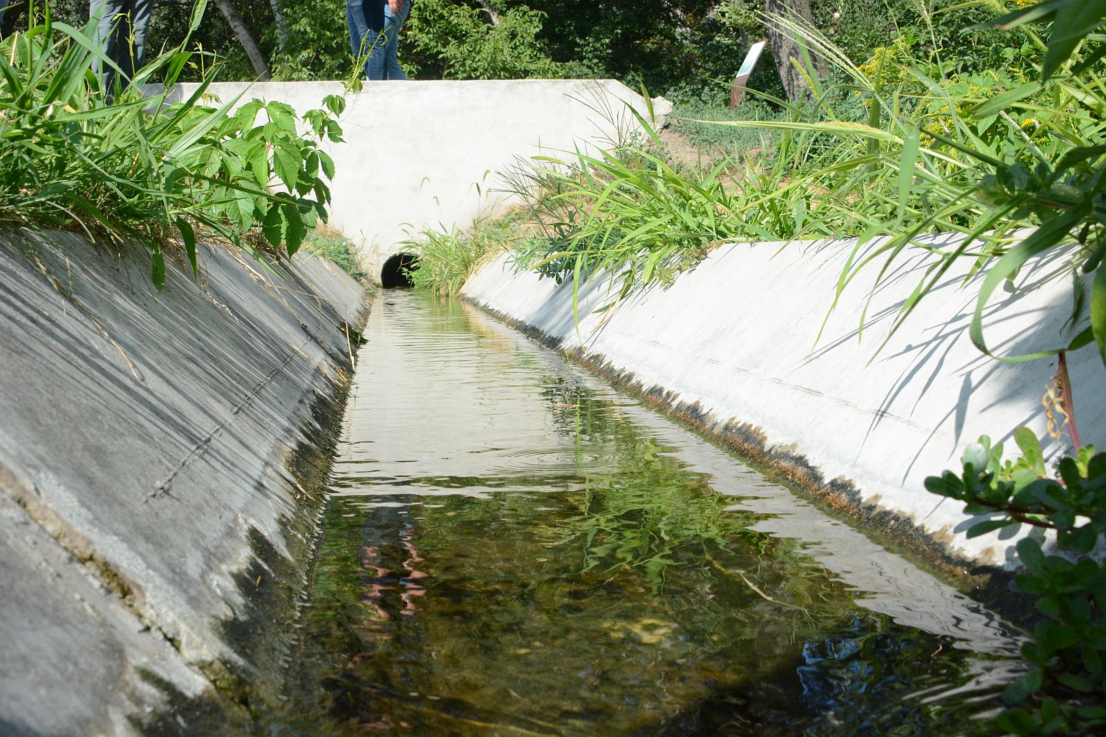 Folyamatos a vízutánpótlás a Sóstón